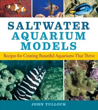 Saltwater Aquarium Models