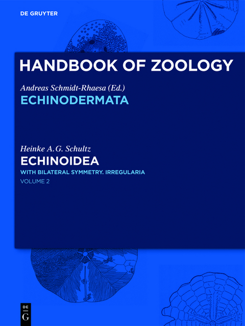 Echinoidea - Heinke  A.G. Schultz