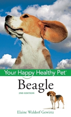 Beagle