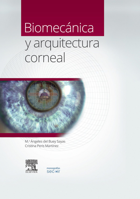 Biomec&aacute;nica y arquitectura corneal - 