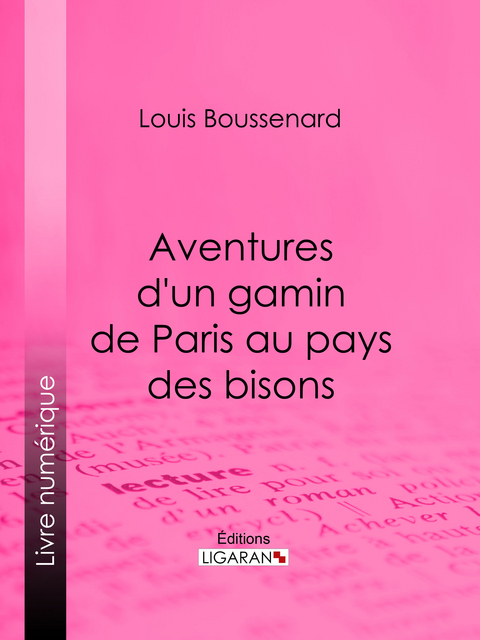 Aventures d'un gamin de Paris au pays des bisons - Louis Boussenard, Horace Castelli