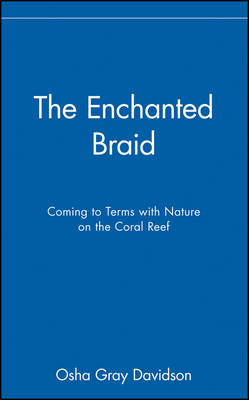 The Enchanted Braid