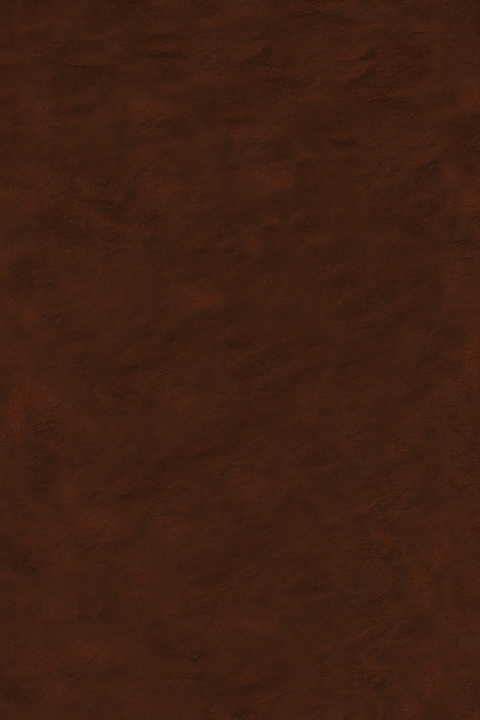 Classifications and Historical Studies -  Bozzano G Luisa