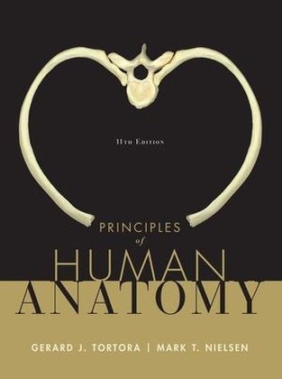 Principles of Human Anatomy