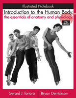Introduction to the Human Body - Gerard J. Tortora, Bryan H. Derrickson
