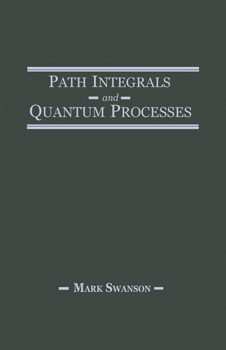 Path Integrals and Quantum Processes