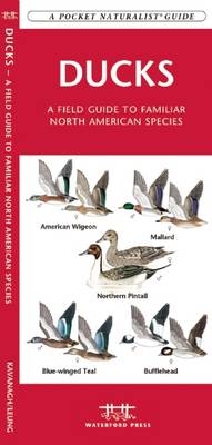 Ducks - James Kavanagh, Waterford Press