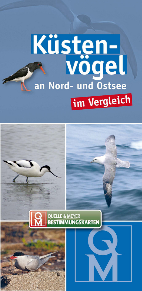 K&uuml;stenv&ouml;gel an Nord- und Ostsee im Vergleich