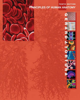 Principles of Human Anatomy - Gerard J. Tortora