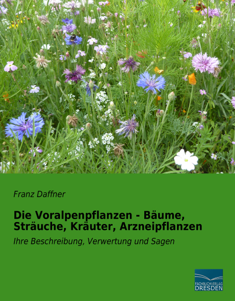 Die Voralpenpflanzen - B&auml;ume, Str&auml;uche, Kr&auml;uter, Arzneipflanzen - Franz Daffner