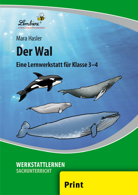 Der Wal - Mara Hasler