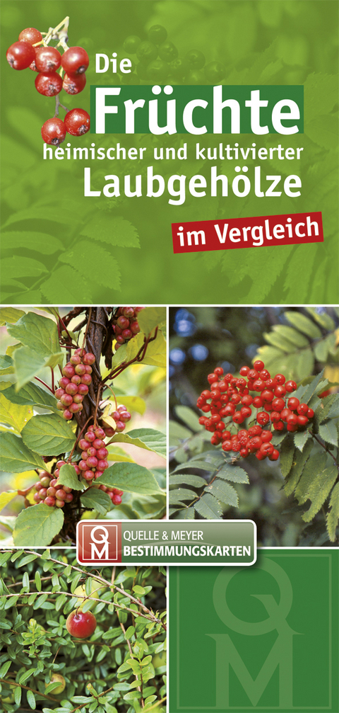 Die Fr&uuml;chte heimischer und kultivierter Laubgeh&ouml;lze im Vergleich