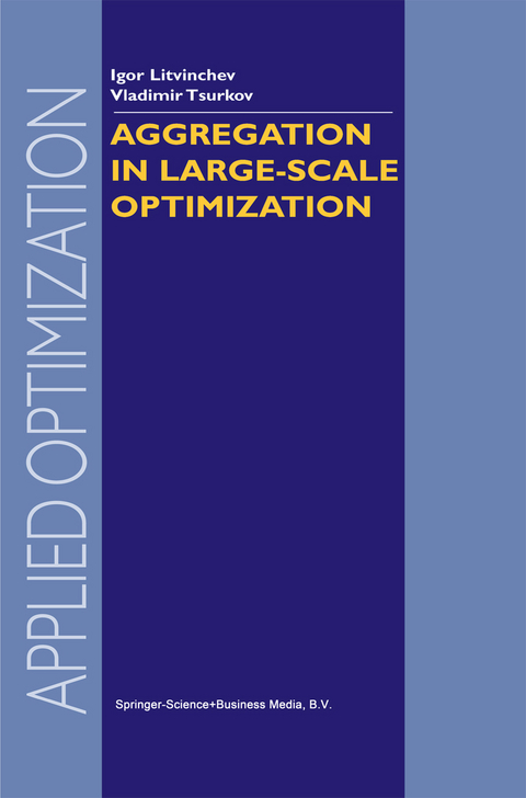 Aggregation in Large-Scale Optimization - I. Litvinchev, Vladimir Tsurkov