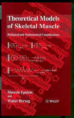 Theoretical Models of Skeletal Muscle