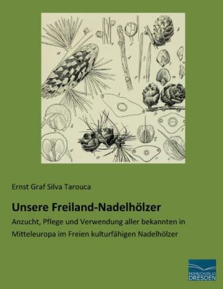 Unsere Freiland-Nadelh&ouml;lzer - Ernst Graf Silva Tarouca