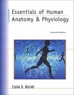 Essentials of Human Anatomy & Physiology with                         Anatomy & Physiology Coloring Workbook:A Complete Study Guide - Elaine N. Marieb