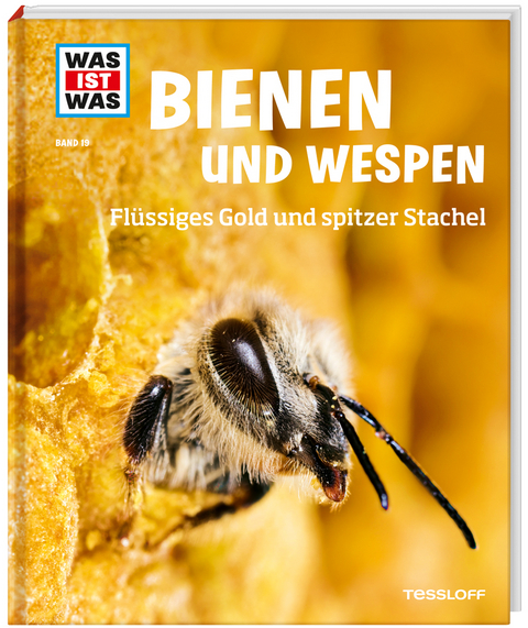 WAS IST WAS Band 19 Bienen und Wespen. Fl&uuml;ssiges Gold und spitzer Stachel - Alexandra Rigos