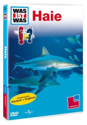 The Mummy Cassette - David Levithan