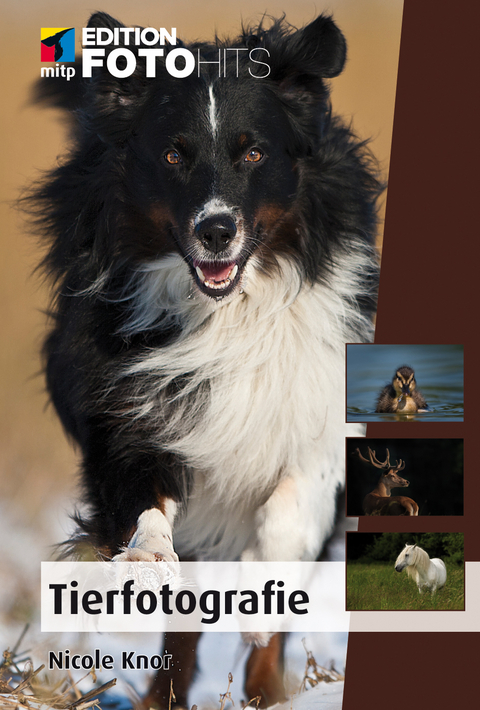 Tierfotografie - Nicole Knor