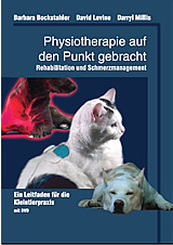Physiotherapie auf den Punkt gebracht