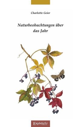 Naturbeobachtungen &uuml;ber das Jahr - Charlotte Geier