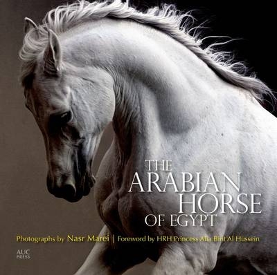 The Arabian Horse of Egypt - Cynthia Culbertson, Nasr Marei