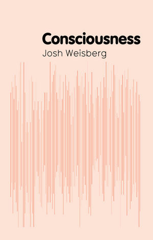 Consciousness - Josh Weisberg