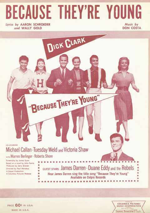 Because They're Young - Don Costa, Wally Gold, Aaron Schroeder