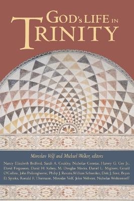 God's Life in Trinity - Miroslav Volf, Michael Welker