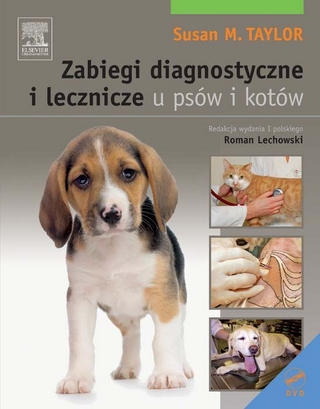 Zabiegi diagnostyczne i lecznicze u psów i kot