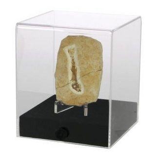 Acryl-Vitrine 