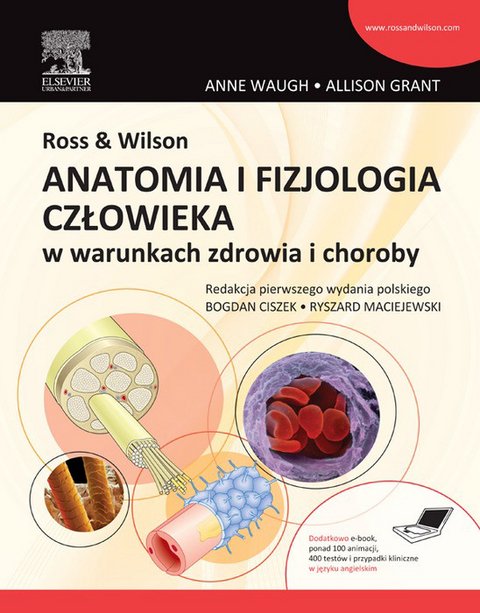 Ross &amp; Wilson. Anatomia i fizjologia czlowieka w warunkach zdrowia i choroby -  Anne Waugh