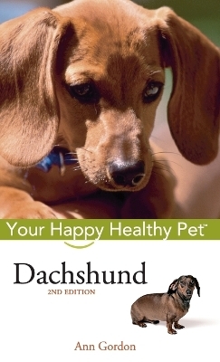 Dachshund