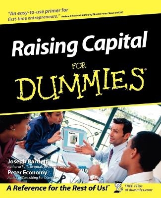 Raising Capital For Dummies - Joseph W. Bartlett, Peter Economy