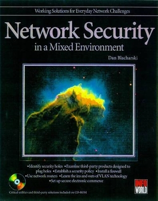 Network Security in a Mixed Environment