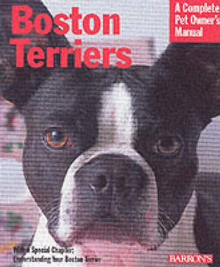 Boston Terriers