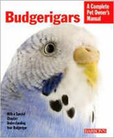 Budgerigars