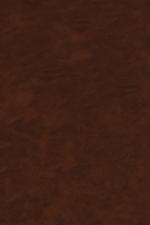 Cu, Zn, Pb, and Ag Deposits -  Bozzano G Luisa