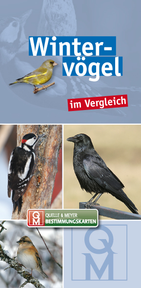Winterv&ouml;gel im Vergleich
