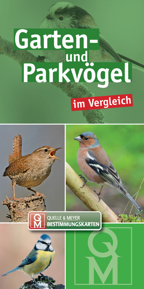 Garten- und Parkv&ouml;gel
