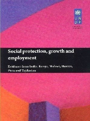 Social Protection, Growth and Employment