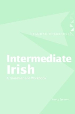 Intermediate Irish: A Grammar and Workbook - Nancy Stenson