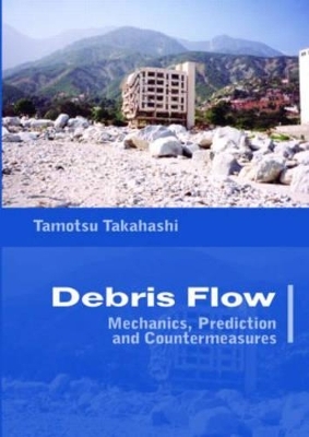 Debris Flow - Tamotsu Takahashi