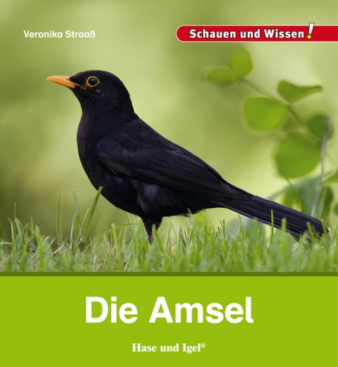 Die Amsel - Veronika Straa&szlig;