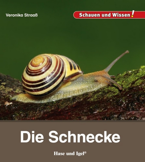 Die Schnecke - Veronika Straa&szlig;