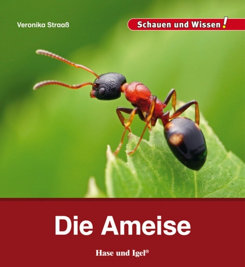 Die Ameise - Veronika Straa&szlig;