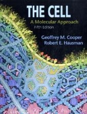 The Cell