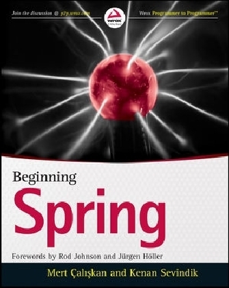 Beginning Spring - Mert Caliskan, Kenan Sevindik