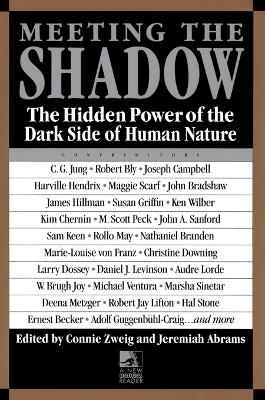 Meeting the Shadow - Connie Zweig