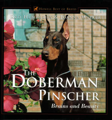 The Doberman Pinscher -  Walker